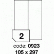 Etichete autoadezive 2/A4 100 coli/top 105x297 mmRAYFILM