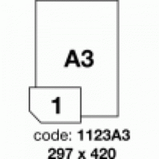 Etichete autoadezive A3 poliester glossy transparent 100/top laser R0400.1123A31
